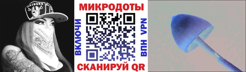 ссылка на мегу ссылки  Горячеводский  Галлюциногенные грибы Psilocybe 
