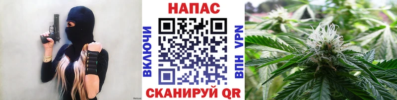 MEGA ONION  Горячеводский  Бошки марихуана семена 